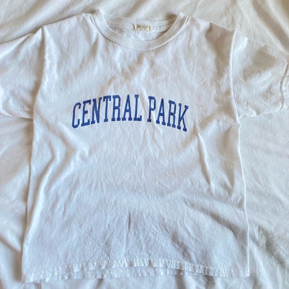Brandy Melville Central Park Cropped Tee